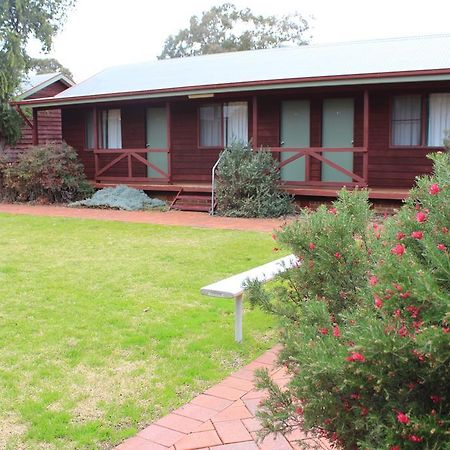 Aussie Cabins Hotel Dubbo Room photo