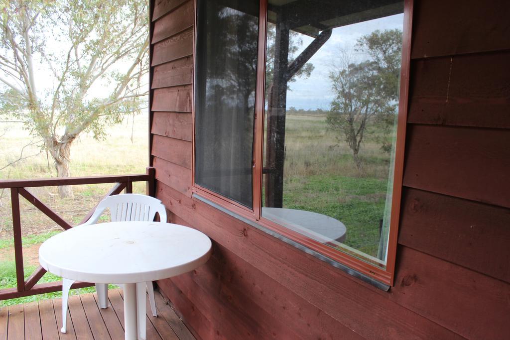Aussie Cabins Hotel Dubbo Room photo